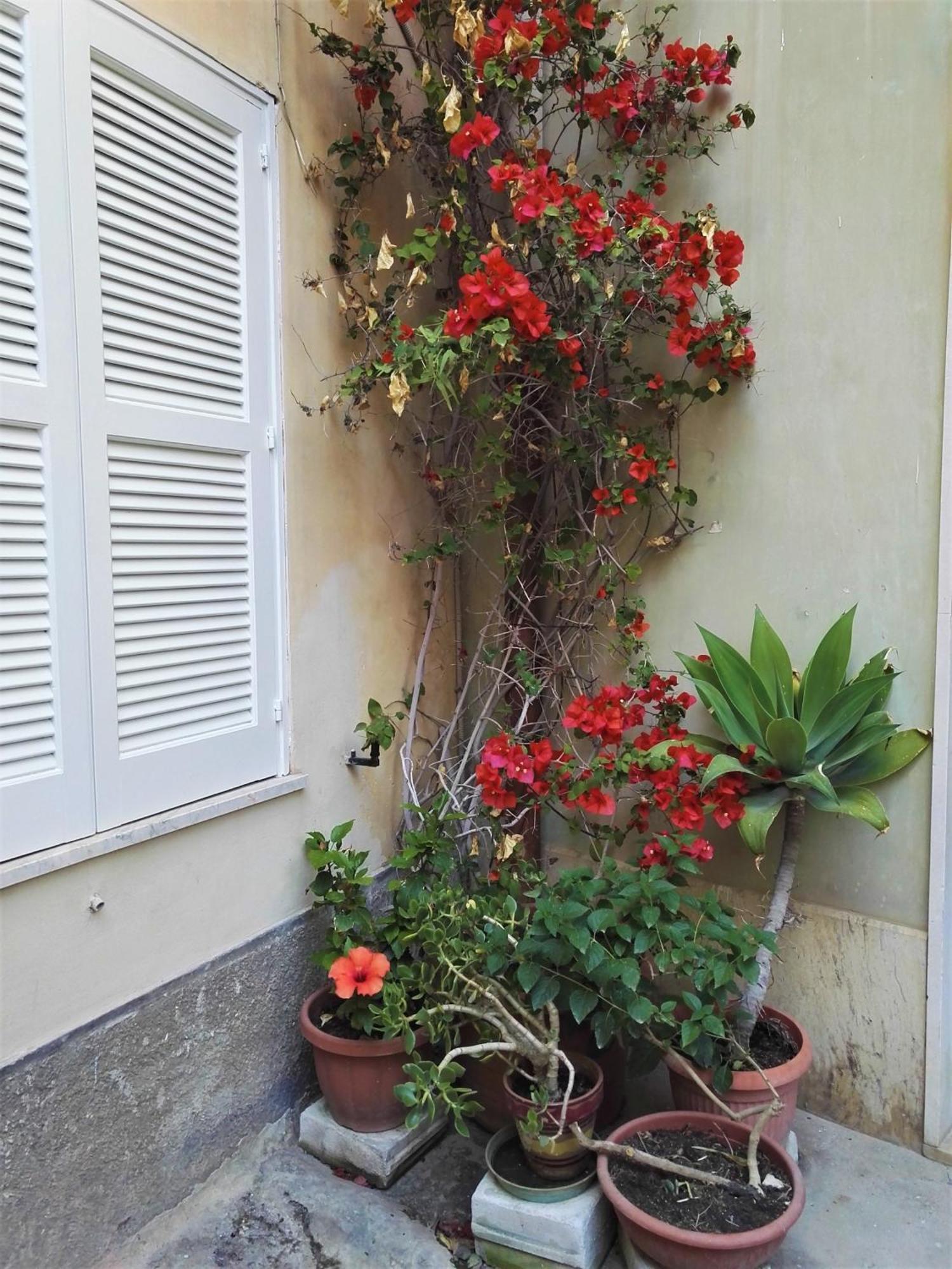 Villa Aloha House Ortigia Syrakus Exterior foto